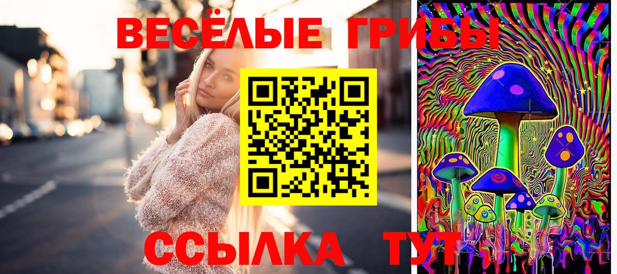 Киреевск  Галлюциногенные грибы GOLDEN TEACHER  Вход с VPN 